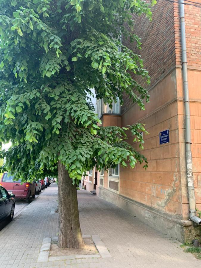 Appartement Vel Люкс à TTchernivtsi Extérieur photo